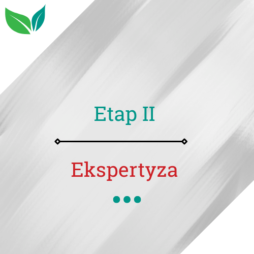 II etap - ekspercka ocena pracy maturalnej – wskazanie możliwości odzyskania punktów